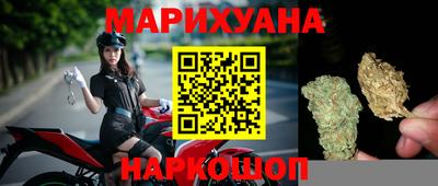 СК Можга